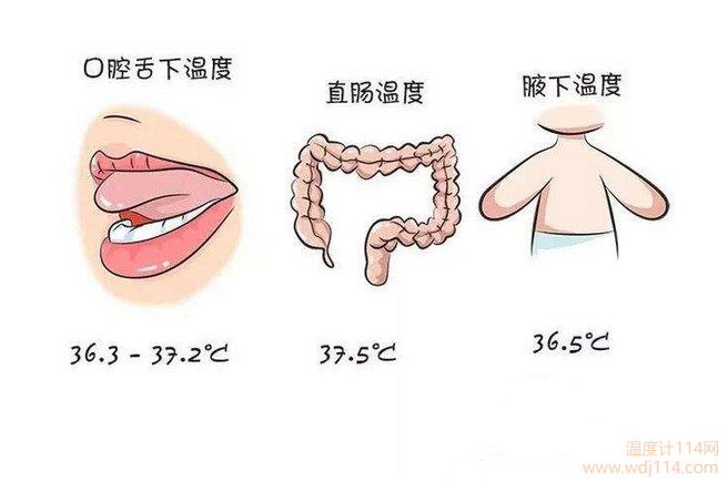 紅外線溫度計測哪較準?